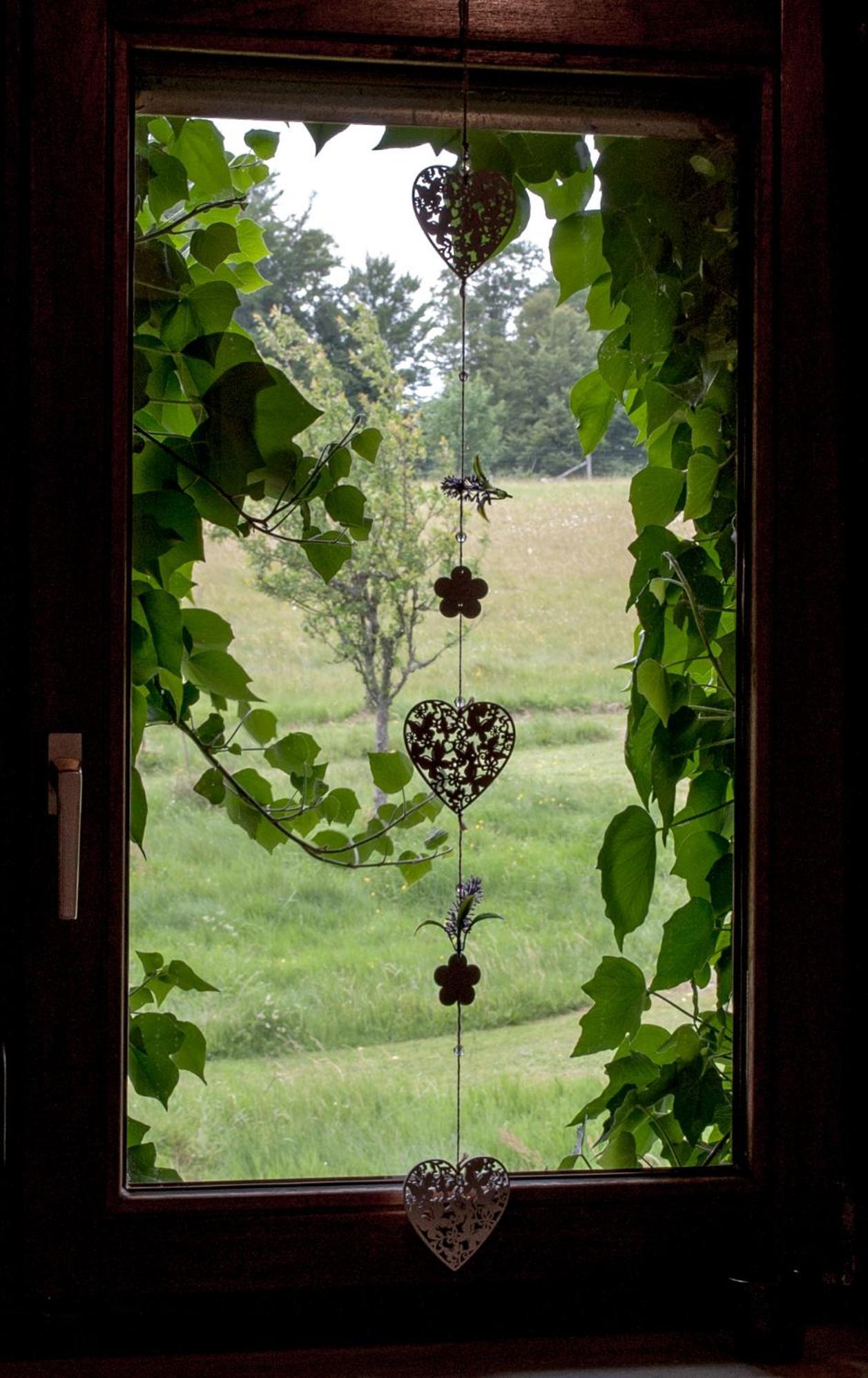 Haus Sohl Am Rothaarsteig Appartement Bad Laasphe Buitenkant foto